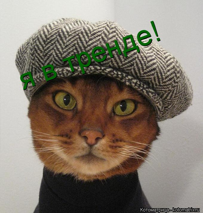 я в тренде!... Котоматрица: я в тренде!
