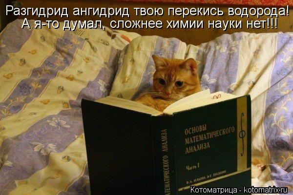 Разгидрид ангидрид твою перекись водорода! А я-то думал, сложнее химии науки нет!!!... Котоматрица: Разгидрид ангидрид твою перекись водорода! А я-то думал, сложнее химии науки нет!!!