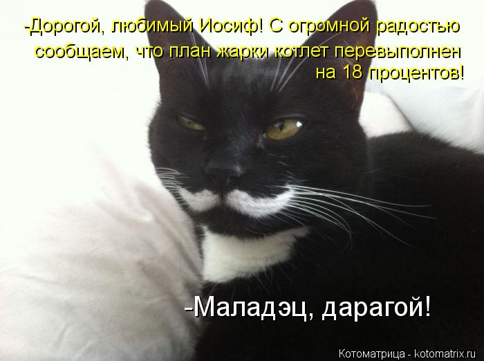 -Дорогой, любимый Иосиф! С огромной радостью сообщаем, что план жарки котлет перевыполнен на 18 проце... Котоматрица: -Дорогой, любимый Иосиф! С огромной радостью сообщаем, что план жарки котлет перевыполнен на 18 процентов! -Маладэц, дарагой!