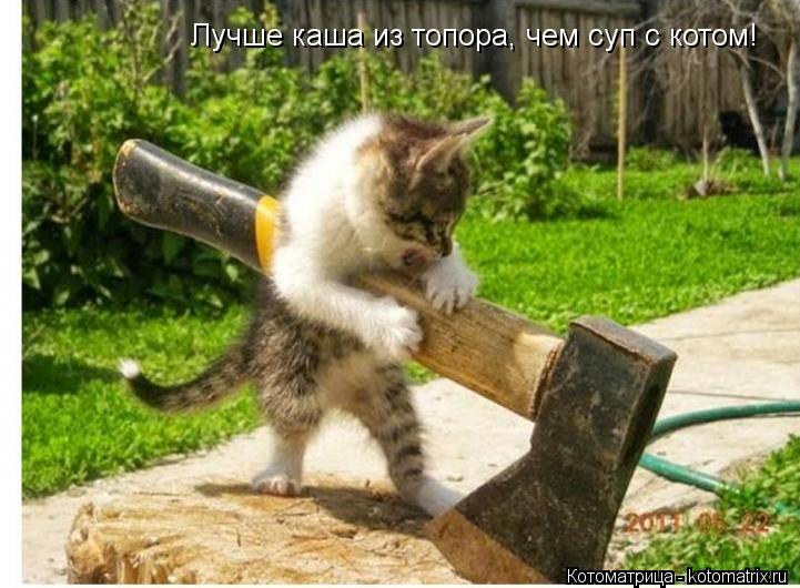 Лучше каша из топора, чем суп с котом!... Котоматрица: Лучше каша из топора, чем суп с котом!