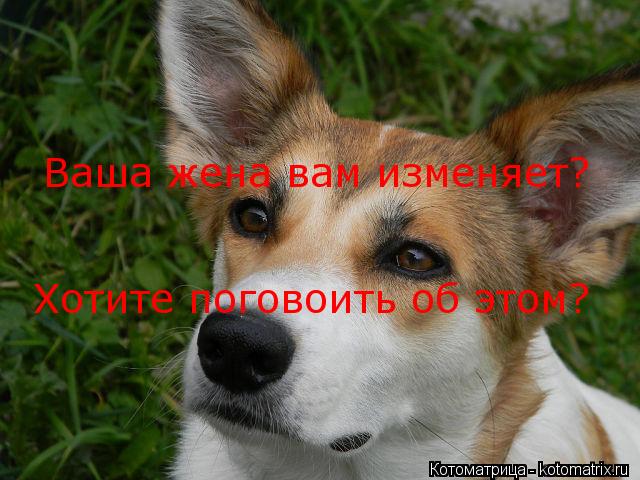 Ваша жена вам изменяет? Хотите поговоить об этом?... Котоматрица: Ваша жена вам изменяет? Хотите поговоить об этом?