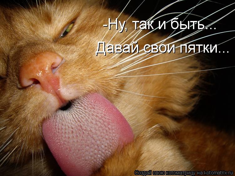-Ну, так и быть... Давай свои пятки...... Котоматрица: -Ну, так и быть... Давай свои пятки...