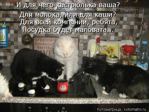 Для молока, или для каши? Для всей компании, ребята, И для чего кастрюлька ваша? Посудка будет малов... Котоматрица: Для молока, или для каши? Для всей компании, ребята, И для чего кастрюлька ваша? Посудка будет маловата...