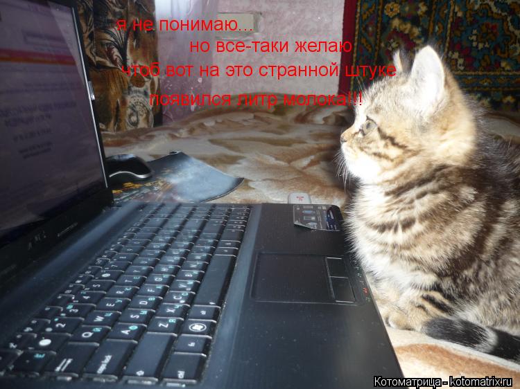 я не понимаю... но все-таки желаю чтоб вот на это странной штуке появился литр молока!!!... Котоматрица: я не понимаю... но все-таки желаю чтоб вот на это странной штуке появился литр молока!!!
