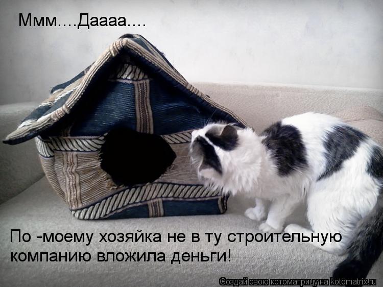 Ммм....Даааа.... По -моему хозяйка не в ту строительную компанию вложила деньги!... Котоматрица: Ммм....Даааа.... По -моему хозяйка не в ту строительную компанию вложила деньги!