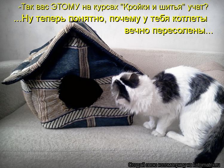 -Так вас ЭТОМУ на курсах "Кройки и шитья" учат? ...Ну теперь понятно, почему у тебя котлеты вечно пер... Котоматрица: -Так вас ЭТОМУ на курсах "Кройки и шитья" учат? ...Ну теперь понятно, почему у тебя котлеты вечно пересолены...