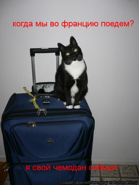 когда мы во францию поедем? я свой чемодан собрал!... Котоматрица: когда мы во францию поедем? я свой чемодан собрал!