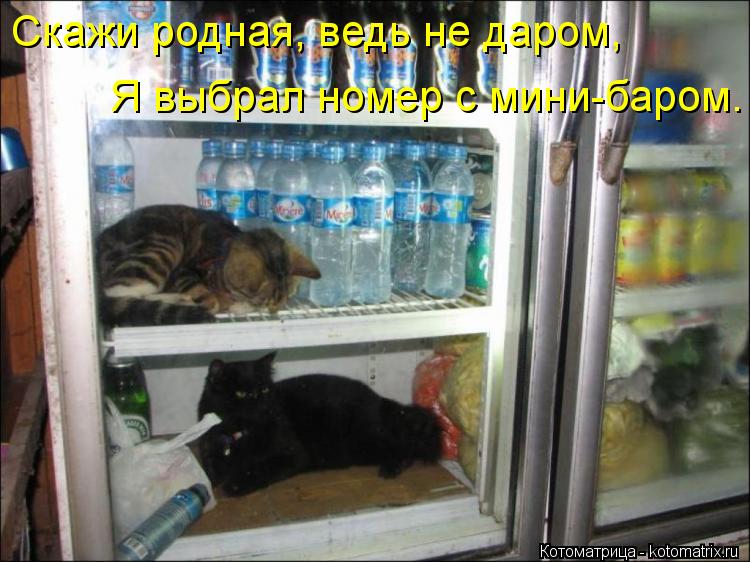 Скажи родная, ведь не даром, Я выбрал номер с мини-баром.... Котоматрица: Скажи родная, ведь не даром, Я выбрал номер с мини-баром.