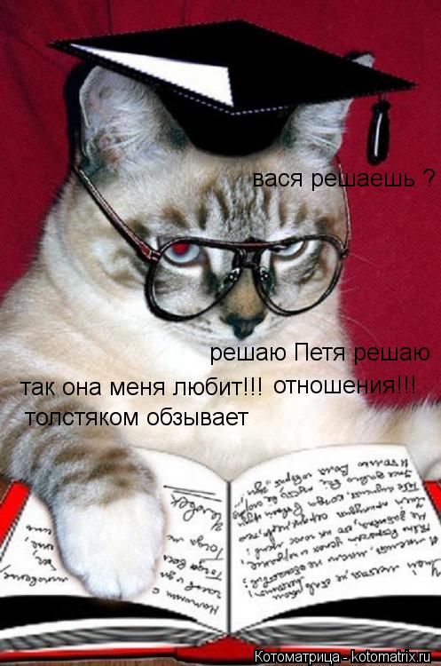 так она меня любит!!! толстяком обзывает вася решаешь ? решаю Петя решаю отношения!!!... Котоматрица: так она меня любит!!! толстяком обзывает вася решаешь ? решаю Петя решаю отношения!!!