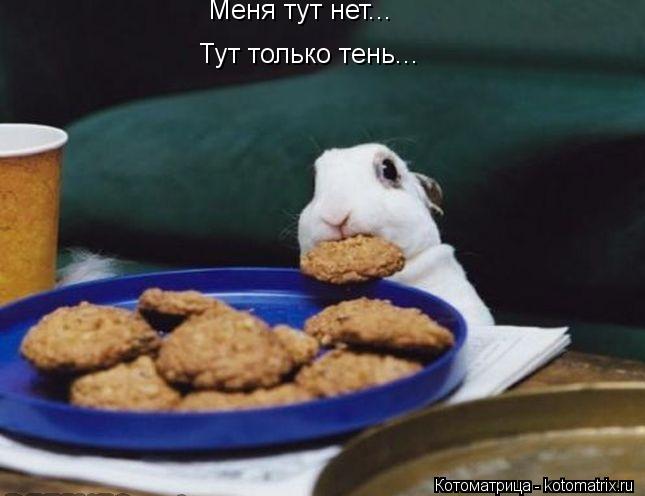 Меня тут нет... Тут только тень...... Котоматрица: Меня тут нет... Тут только тень...