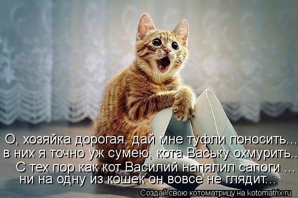 ни на одну из кошек он вовсе не глядит... С тех пор как кот Василий напялил сапоги ... в них я точно... Котоматрица: ни на одну из кошек он вовсе не глядит... С тех пор как кот Василий напялил сапоги ... в них я точно уж сумею, кота Ваську охмурить... О, хозяйка д