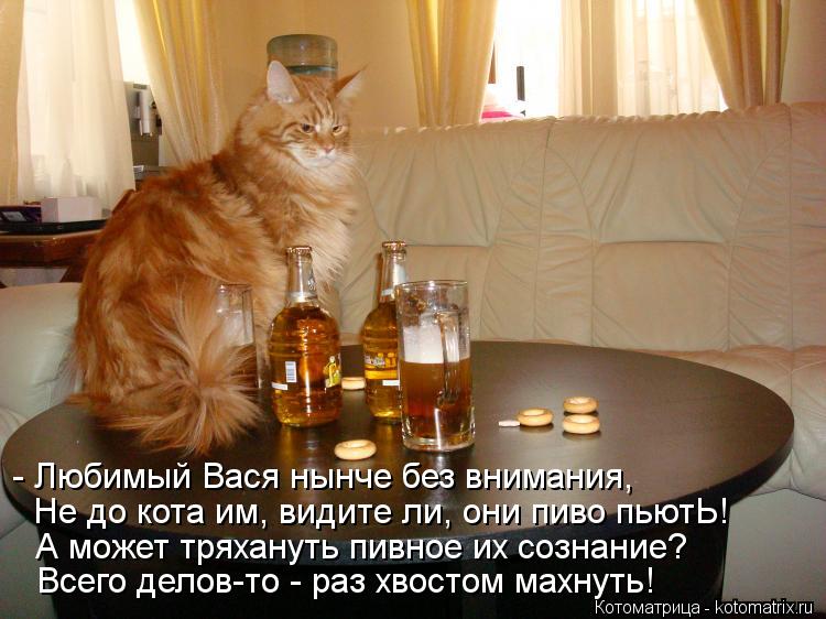 Котоматрица: - Любимый Вася нынче без внимания, Не до кота им, видите ли, они пиво пьютЬ! А может тряхануть пивное их сознание? Всего делов-то - раз хвостом 
