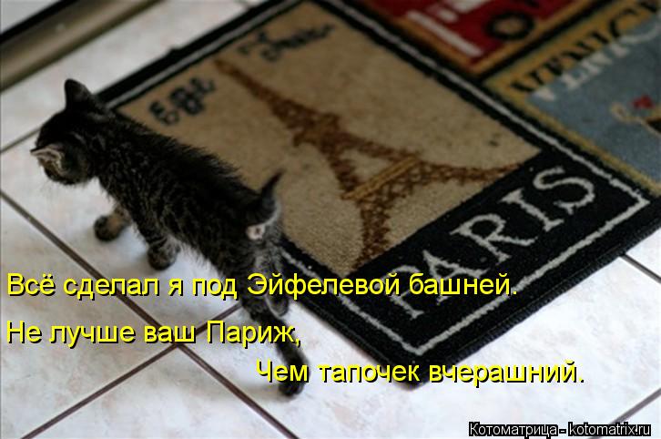 Котоматрица: Всё сделал я под Эйфелевой башней. Не лучше ваш Париж, Чем тапочек вчерашний.