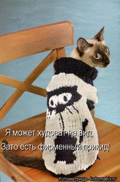 Зато есть фирменный прикид! Я может худоват на вид,... Котоматрица: Зато есть фирменный прикид! Я может худоват на вид,