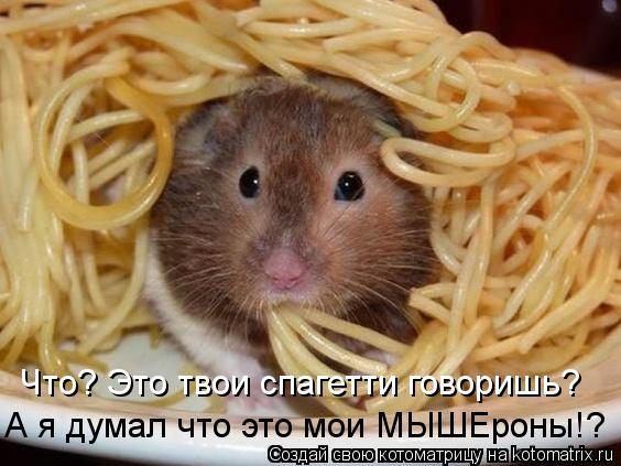 Что? Это твои спагетти говоришь? А я думал что это мои МЫШЕроны!?... Котоматрица: Что? Это твои спагетти говоришь? А я думал что это мои МЫШЕроны!?