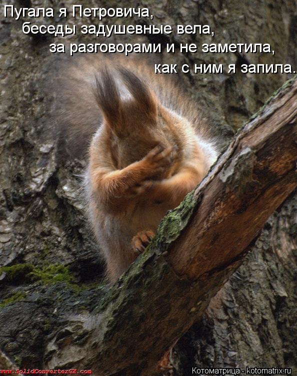 Пугала я Петровича, беседы задушевные вела, за разговорами и не заметила, как с ним я запила.... Котоматрица: Пугала я Петровича, беседы задушевные вела, за разговорами и не заметила, как с ним я запила.
