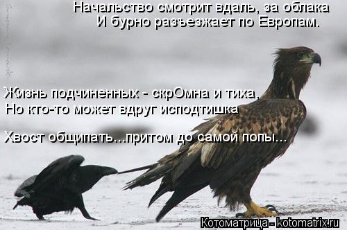 Начальство смотрит вдаль, за облака И бурно разъезжает по Европам. Жизнь подчиненных - скрОмна и тиха... Котоматрица: Начальство смотрит вдаль, за облака И бурно разъезжает по Европам. Жизнь подчиненных - скрОмна и тиха, Но кто-то может вдруг исподтишка Хвос