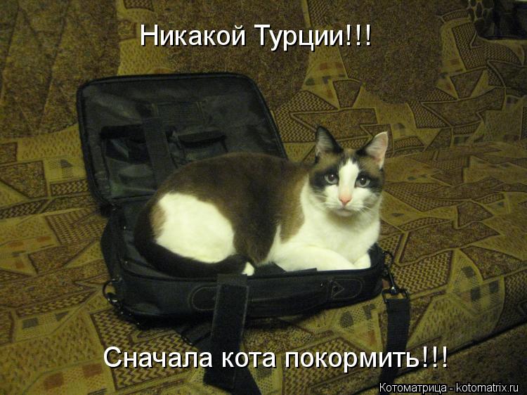 Никакой Турции!!! Сначала кота покормить!!!... Котоматрица: Никакой Турции!!! Сначала кота покормить!!!