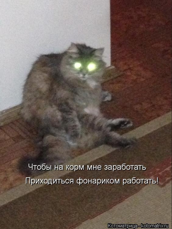 Чтобы на корм мне заработать Приходиться фонариком работать! Чтобы на корм мне заработать... Котоматрица: Чтобы на корм мне заработать Приходиться фонариком работать! Чтобы на корм мне заработать