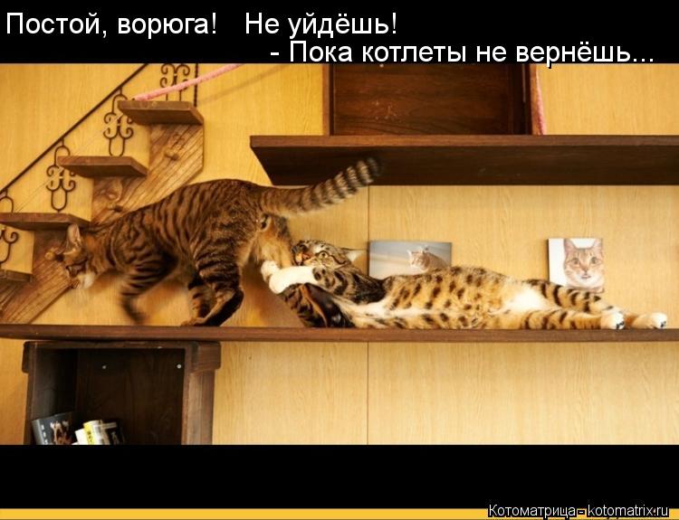 Постой, ворюга! Не уйдёшь! - Пока котлеты не вернёшь...... Котоматрица: Постой, ворюга! Не уйдёшь! - Пока котлеты не вернёшь...