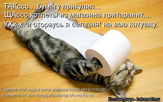 ТАКссс... бумагу прикупил... ЩАссс котлеты из магазина притаранит.... УХх-х, и оторвусь я сегодня! н... Котоматрица: ТАКссс... бумагу прикупил... ЩАссс котлеты из магазина притаранит.... УХх-х, и оторвусь я сегодня! на всю катушку. Главное чтоб ещё и лоток вовр