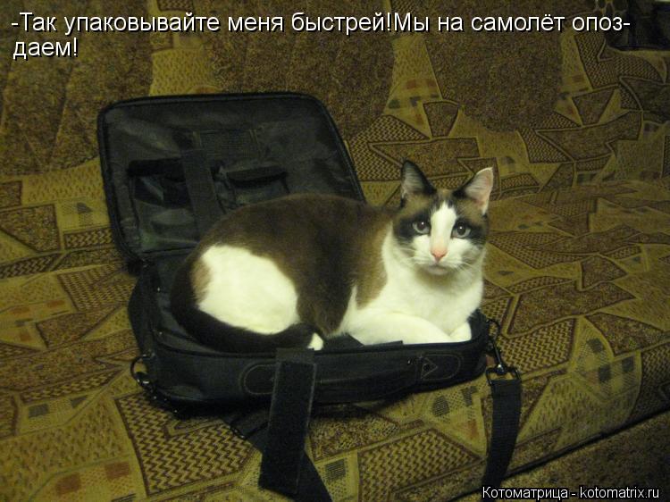-Так упаковывайте меня быстрей!Мы на самолёт опоз- даем!... Котоматрица: -Так упаковывайте меня быстрей!Мы на самолёт опоз- даем!