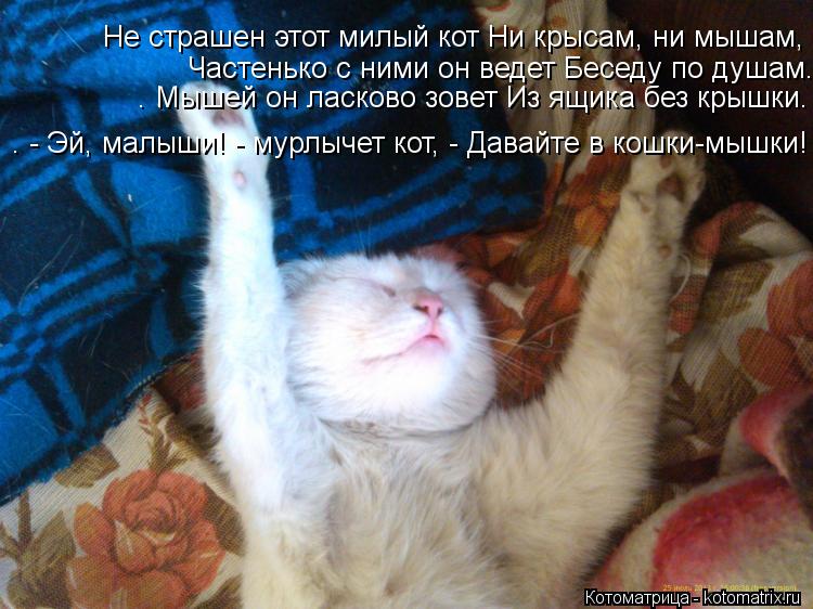 Не страшен этот милый кот Ни крысам, ни мышам, Частенько с ними он ведет Беседу по душам. Мышей он ла... Котоматрица: Не страшен этот милый кот Ни крысам, ни мышам, Частенько с ними он ведет Беседу по душам. Мышей он ласково зовет Из ящика без крышки. - Эй, малы