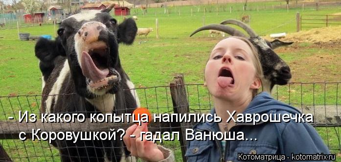 - Из какого копытца напились Хаврошечка с Коровушкой? - гадал Ванюша...... Котоматрица: - Из какого копытца напились Хаврошечка с Коровушкой? - гадал Ванюша...