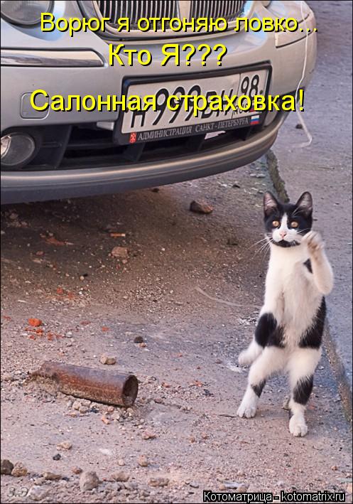 Ворюг я отгоняю ловко... Кто Я??? Салонная страховка!... Котоматрица: Ворюг я отгоняю ловко... Кто Я??? Салонная страховка!