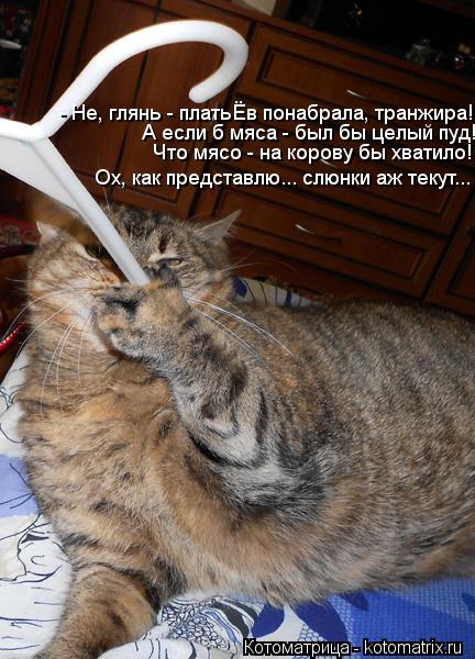 Котоматрица: - Не, глянь - платьЁв понабрала, транжира! А если б мяса - был бы целый пуд! Что мясо - на корову бы хватило! Ох, как представлю... слюнки аж текут..