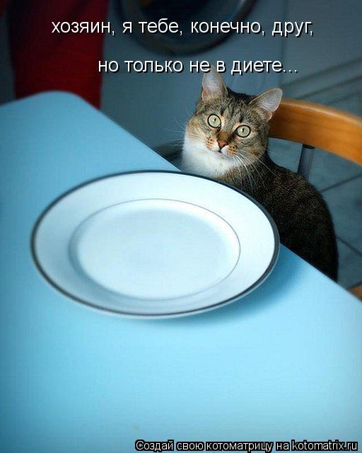 хозяин, я тебе, конечно, друг, но только не в диете...... Котоматрица: хозяин, я тебе, конечно, друг, но только не в диете...