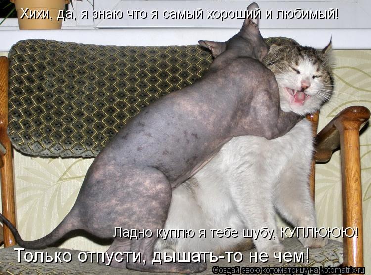 Хихи, да, я знаю что я самый хороший и любимый! Ладно куплю я тебе шубу, КУПЛЮЮЮ! Только отпусти, дыш... Котоматрица: Хихи, да, я знаю что я самый хороший и любимый! Ладно куплю я тебе шубу, КУПЛЮЮЮ! Только отпусти, дышать-то не чем!