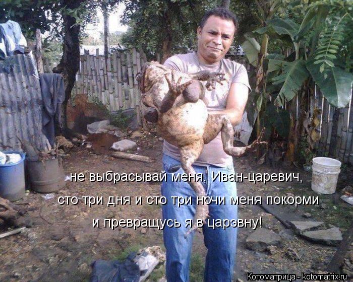 не выбрасывай меня, Иван-царевич, сто три дня и сто три ночи меня покорми и превращусь я в царэвну!... Котоматрица: не выбрасывай меня, Иван-царевич, сто три дня и сто три ночи меня покорми и превращусь я в царэвну!