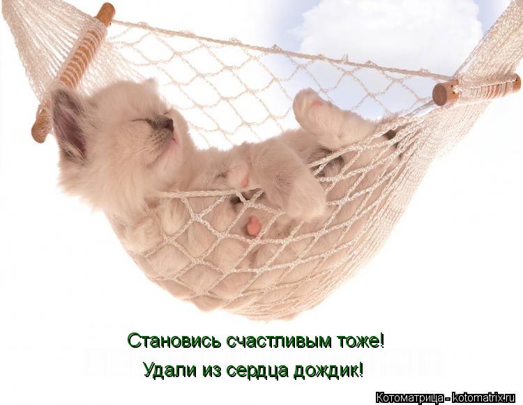Становись счастливым тоже! Удали из сердца дождик!... Котоматрица: Становись счастливым тоже! Удали из сердца дождик!