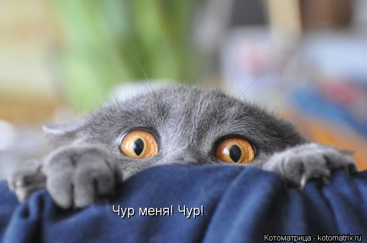 Чур меня! Чур!... Котоматрица: Чур меня! Чур!