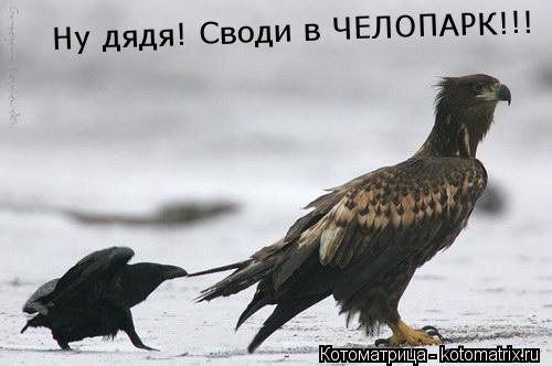 Ну дядя! Своди в ЧЕЛОПАРК!!!... Котоматрица: Ну дядя! Своди в ЧЕЛОПАРК!!!