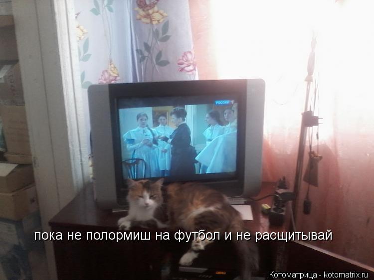 пока не полормиш на футбол и не расщитывай... Котоматрица: пока не полормиш на футбол и не расщитывай