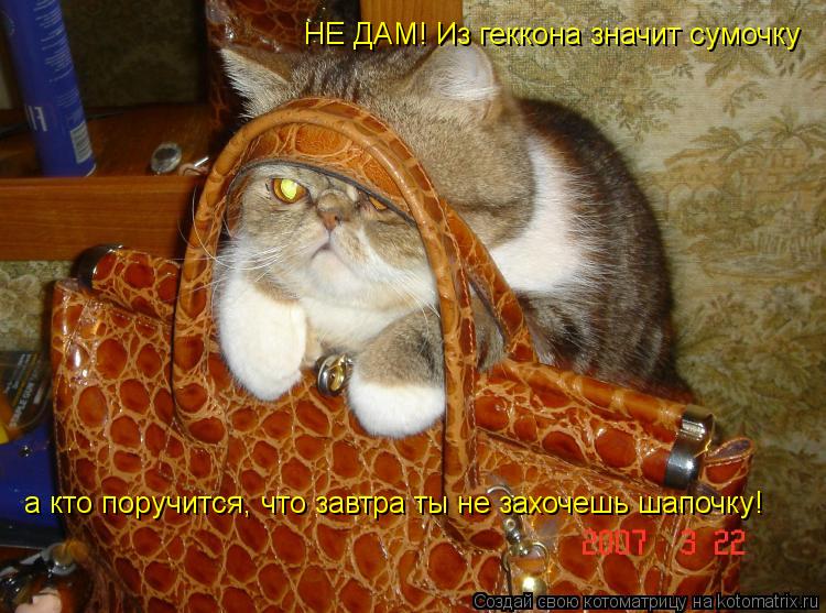 НЕ ДАМ! Из геккона значит сумочку а кто поручится, что завтра ты не захочешь шапочку!... Котоматрица: НЕ ДАМ! Из геккона значит сумочку а кто поручится, что завтра ты не захочешь шапочку!