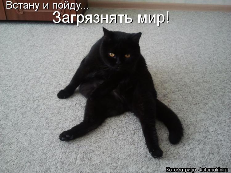 Встану и пойду... Загрязнять мир!... Котоматрица: Встану и пойду... Загрязнять мир!