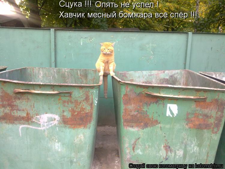 Сцука !!! Опять не успел ! Хавчик месный бомжара всё спёр !!!... Котоматрица: Сцука !!! Опять не успел ! Хавчик месный бомжара всё спёр !!!