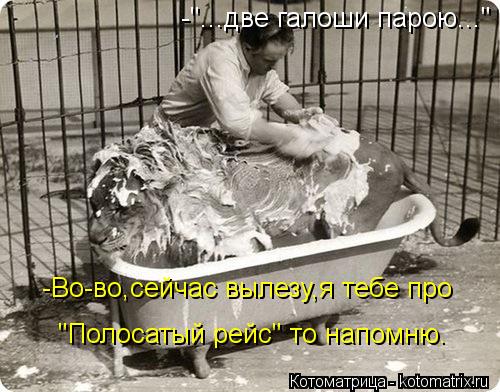 -"...две галоши парою..." -Во-во,сейчас вылезу,я тебе про "Полосатый рейс" то напомню.... Котоматрица: -"...две галоши парою..." -Во-во,сейчас вылезу,я тебе про "Полосатый рейс" то напомню.