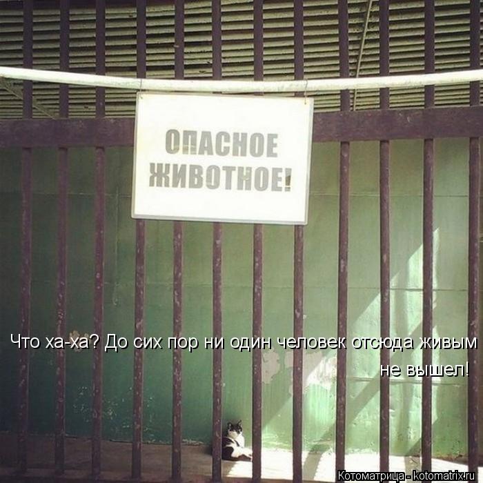 Что ха-ха? До сих пор ни один человек отсюда живым не вышел!... Котоматрица: Что ха-ха? До сих пор ни один человек отсюда живым не вышел!