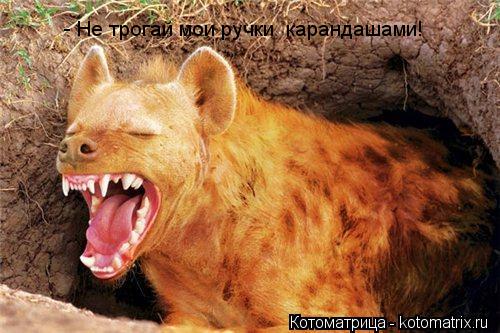 - Не трогай мои ручки карандашами!... Котоматрица: - Не трогай мои ручки карандашами!