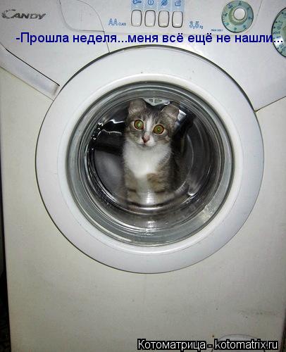 -Прошла неделя...меня всё ещё не нашли...... Котоматрица: -Прошла неделя...меня всё ещё не нашли...