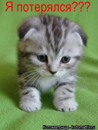 Я потерялся???... Котоматрица: Я потерялся???