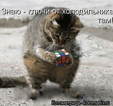 Знаю - ключи от холодильника там! там!... Котоматрица: Знаю - ключи от холодильника там! там!
