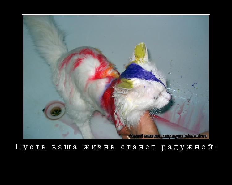 Пусть ваша жизнь станет радужной! ... Котоматрица: Пусть ваша жизнь станет радужной!