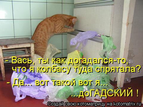 - Вась, ты как догадался-то, что я колбасу туда спрятала? - Да... вот такой вот я... ...доГАДСКИЙ !... Котоматрица: - Вась, ты как догадался-то, что я колбасу туда спрятала? - Да... вот такой вот я... ...доГАДСКИЙ !