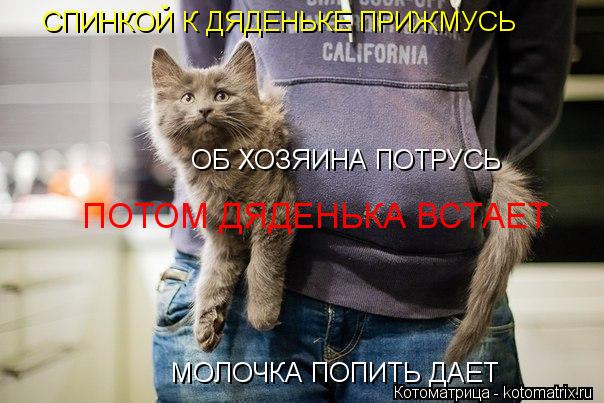 СПИНКОЙ К ДЯДЕНЬКЕ ПРИЖМУСЬ ОБ ХОЗЯИНА ПОТРУСЬ ПОТОМ ДЯДЕНЬКА ВСТАЕТ МОЛОЧКА ПОПИТЬ ДАЕТ... Котоматрица: СПИНКОЙ К ДЯДЕНЬКЕ ПРИЖМУСЬ ОБ ХОЗЯИНА ПОТРУСЬ ПОТОМ ДЯДЕНЬКА ВСТАЕТ МОЛОЧКА ПОПИТЬ ДАЕТ