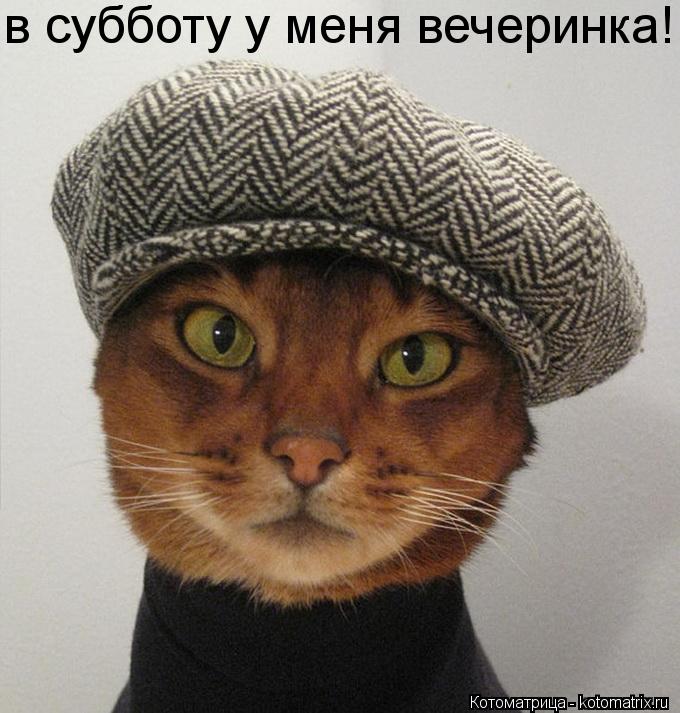 в субботу у меня вечеринка!!!... Котоматрица: в субботу у меня вечеринка!!!